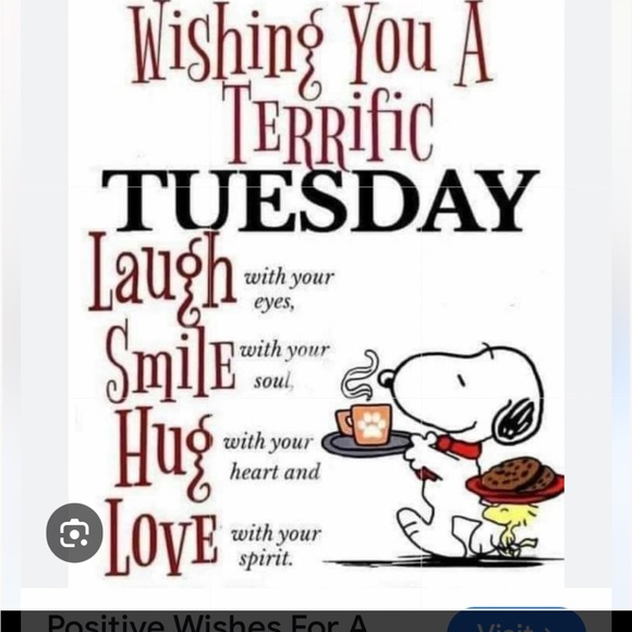 👗👗VINTAGE SHOW FRI OCT 31 8am Cashmere Wool Silk Linen👗👗 - Picture 9 of 16